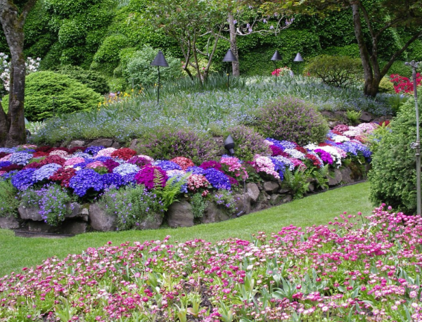 Taman dengan tumbuhan rimbun